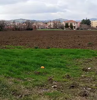 Foto annuncio 2