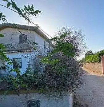 Foto annuncio 6