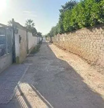 Foto annuncio 11