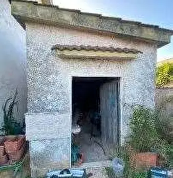 Foto annuncio 12