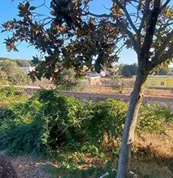 Foto annuncio 14