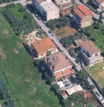 Foto annuncio 10