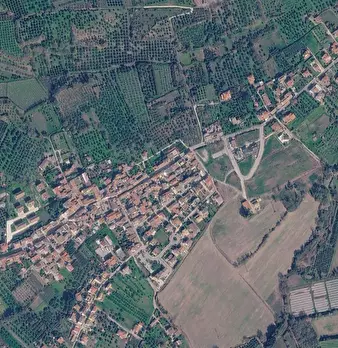 Foto annuncio 2