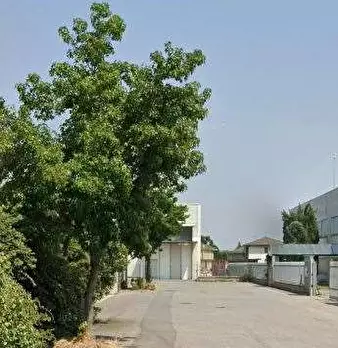 Foto annuncio 3