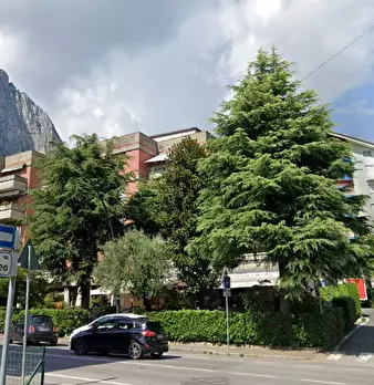 Foto annuncio 13