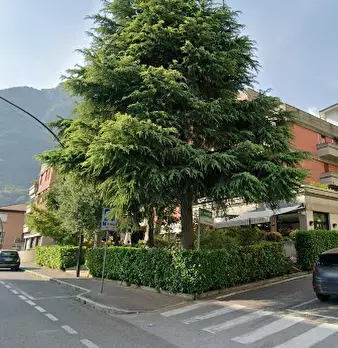 Foto annuncio 14