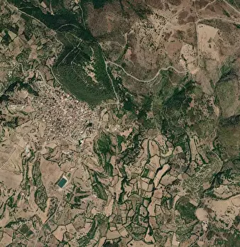 Foto annuncio 4