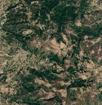 Foto annuncio 6