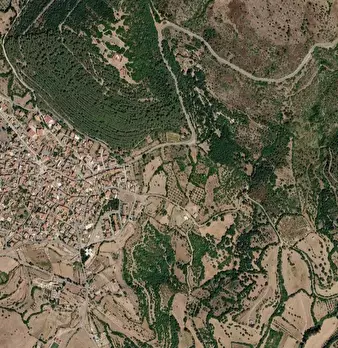 Foto annuncio 3