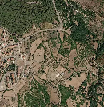 Foto annuncio 2