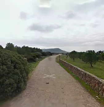 Foto annuncio 8