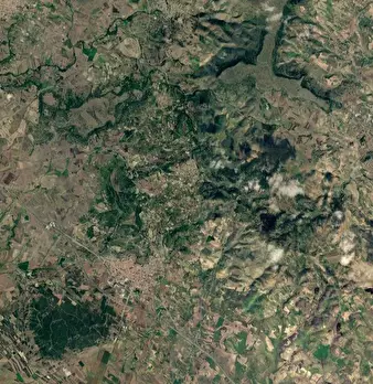Foto annuncio 13