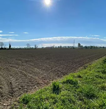 Foto annuncio 4