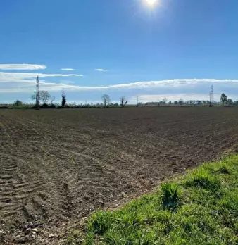 Foto annuncio 5