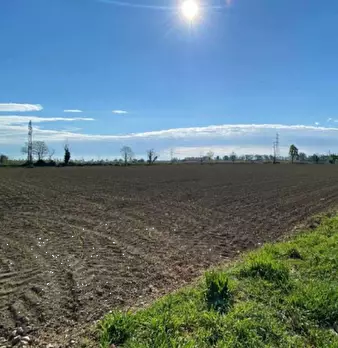 Foto annuncio 6