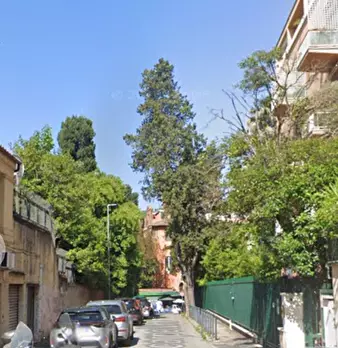Foto annuncio 9