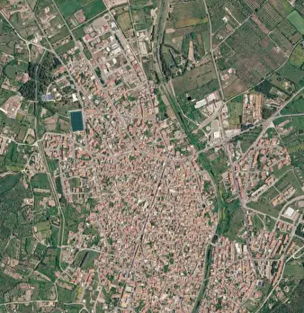 Foto annuncio 5