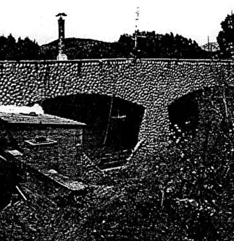 Foto annuncio 12