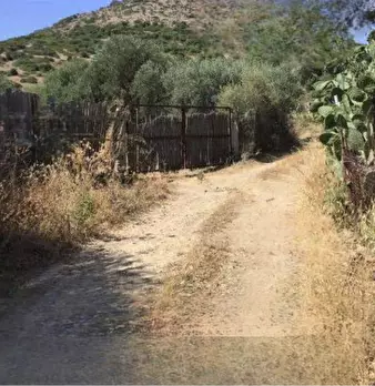 Foto annuncio 2