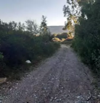 Foto annuncio 2