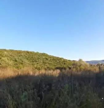 Foto annuncio 4