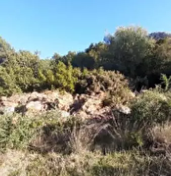 Foto annuncio 3