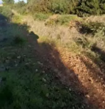 Foto annuncio 4
