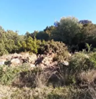 Foto annuncio 7
