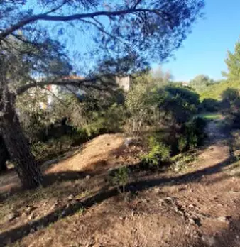 Foto annuncio 8