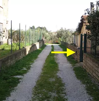 Foto annuncio 1