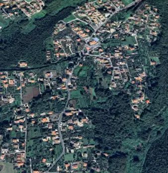 Foto annuncio 9