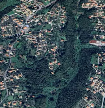 Foto annuncio 10