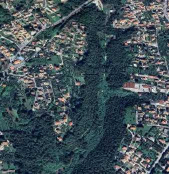 Foto annuncio 11
