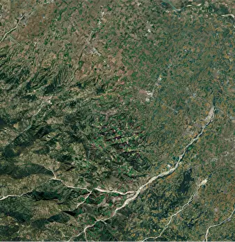 Foto annuncio 6