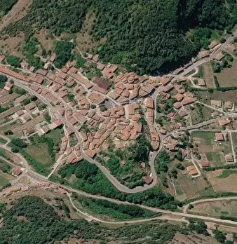 Foto annuncio 7