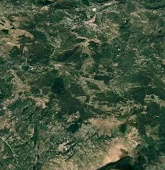 Foto annuncio 10