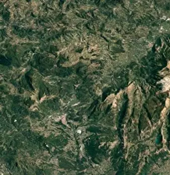 Foto annuncio 9