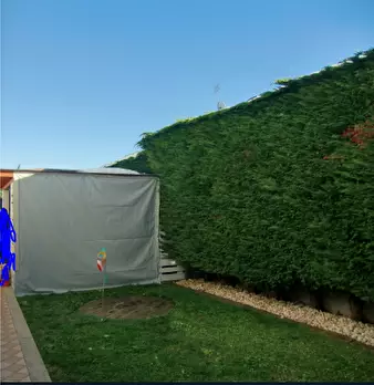 Foto annuncio 9
