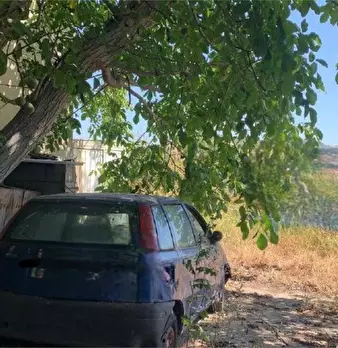 Foto annuncio 6