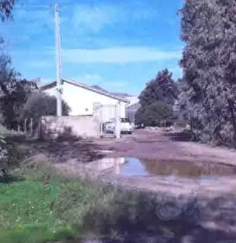 Foto annuncio 2