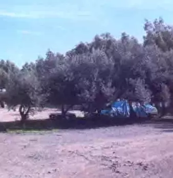 Foto annuncio 3