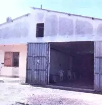 Foto annuncio 5