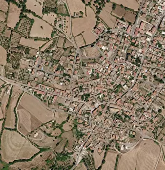 Foto annuncio 6