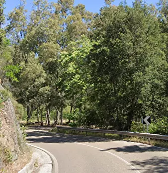 Foto annuncio 14