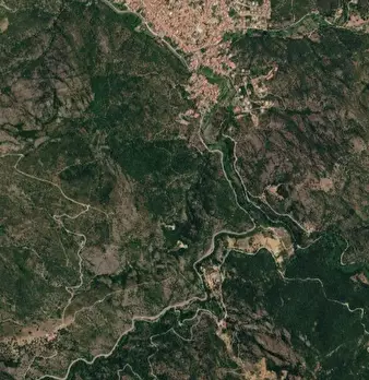 Foto annuncio 15