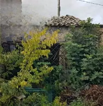Foto annuncio 9