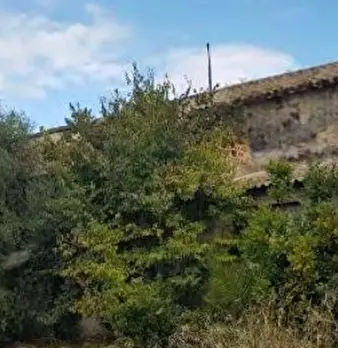 Foto annuncio 13