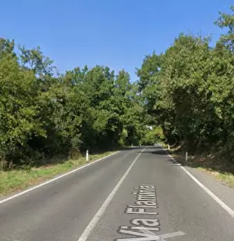 Foto annuncio 5