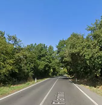Foto annuncio 7