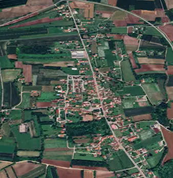Foto annuncio 10
